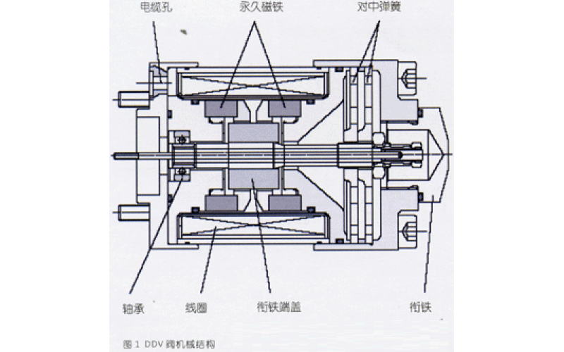 DDV易游在线注册,易游（中国）介绍及其应用